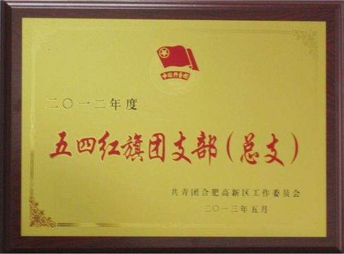 我司荣获高新区“五四红旗团支部”荣誉称号